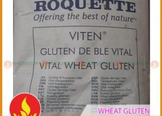 CHẤT KẾT DÍNH TẠO ĐẶC DAI || WHEAT GLUTEN || TRUNG QUỐC