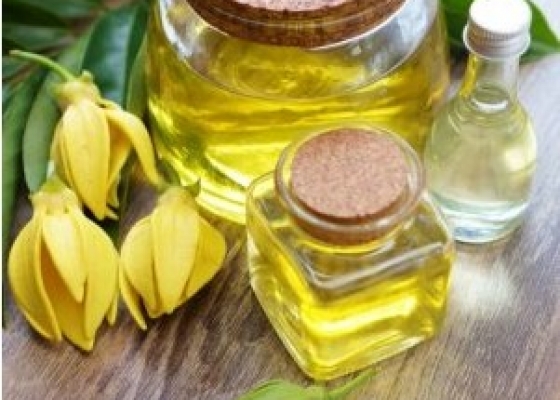 TINH DẦU NGỌC LAN TÂY  TỰ NHIÊN