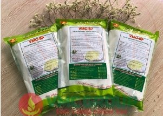 VMC BP || CẢI THIỆN CẤU TRÚC SẢN PHẨM TỪ TINH BỘT ||  BÚN || MÌ || PHỞ