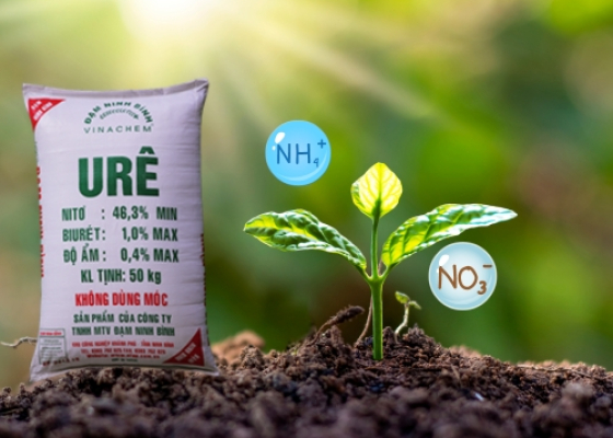 PHÂN BÓN URE NINH BÌNH || HÓA CHẤT NÔNG NGHIỆP