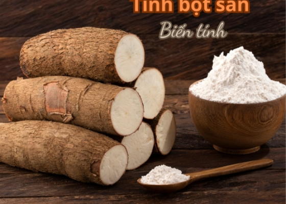 Tinh bột sắn biến tính || PHỤ GIA THỰC PHẨM