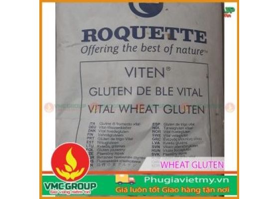 chat-ket-dinh-tao-dac-dai-wheat-gluten-trung-quoc